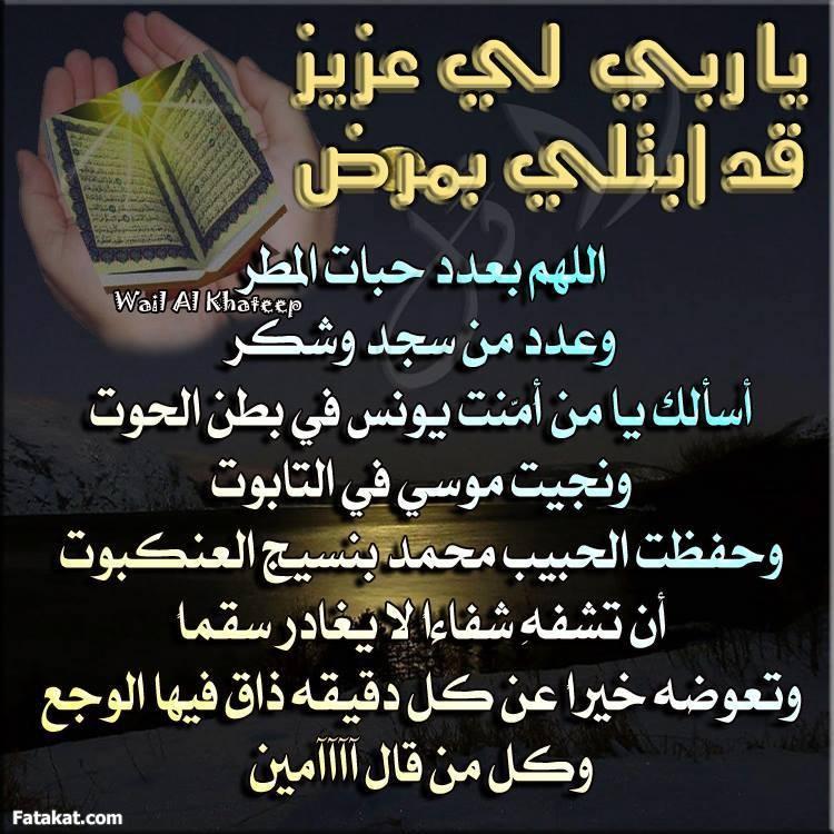 الصقر