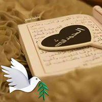 آمنه محمد