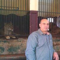 سامى طلعت