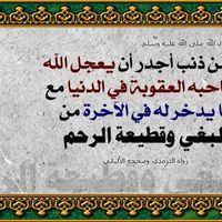 mohamedamy2