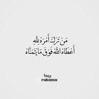 Mahmoud Abdou