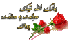 post-58784-0-39752800-1316032996_thumb.g