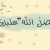 محمد المحمودى